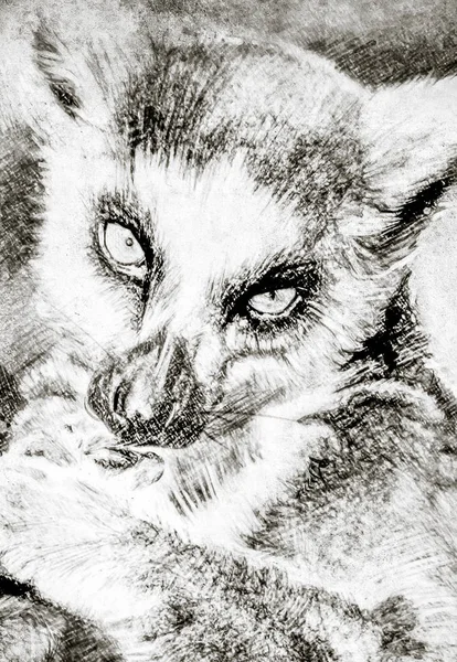 Illustrazione Realizzata Con Tablet Digitale Lemure Seppia Carta Vintage Illustrazione — Foto Stock