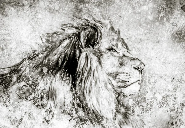 Illustration Réalisée Avec Tablette Numérique Lion Sépia — Photo