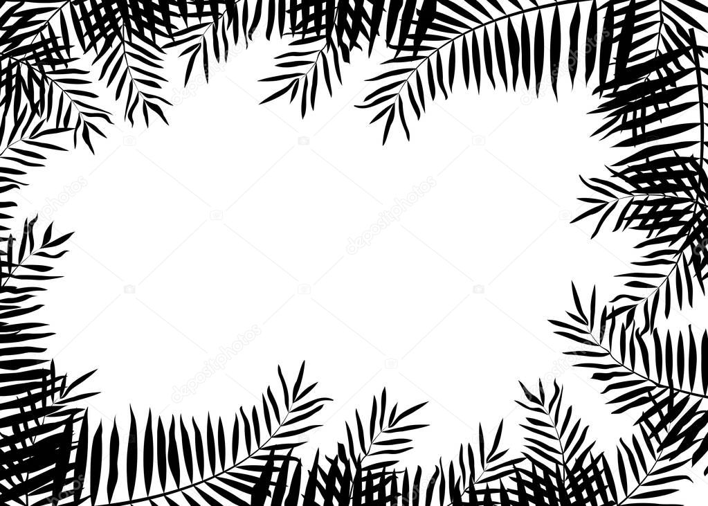 Vector illustration with black tropical leaves on white background with place for text.