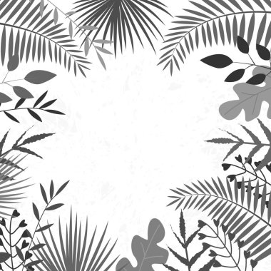 Beyaz zemin üzerinde siyah-gri tropikal yapraklara sahip vektör illüstrasyonuName.