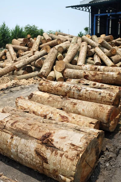Pila de troncos de madera en una fábrica de molinos de madera contrachapada — Foto de Stock