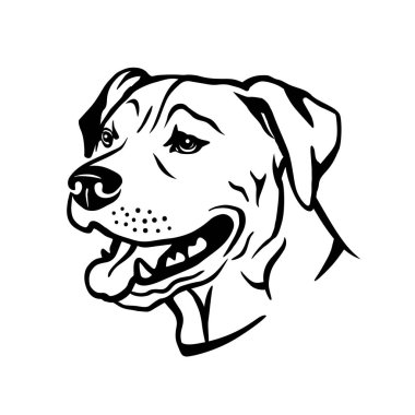 Amerikan pitbull terrier köpeğinin portre çizimi