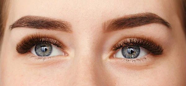 Beautiful macro shot of female eye with extreme long eyelashes and black liner makeup. Perfect shape make-up and long lashes — Stock Photo, Image