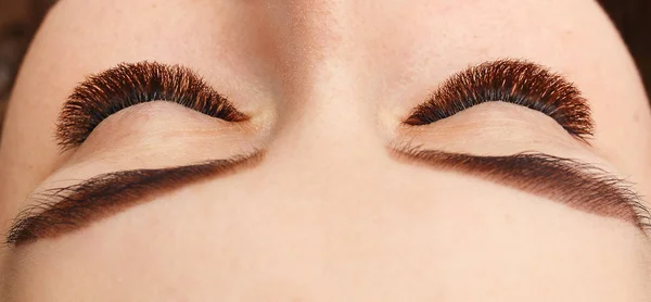 Beautiful macro shot of female eye with extreme long eyelashes and black liner makeup. Perfect shape make-up and long lashes — Stock Photo, Image