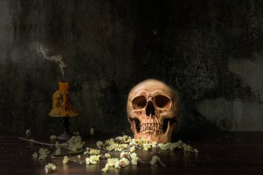 Natürmort insan kafatası ve mum ve abstrac kuru çiçek