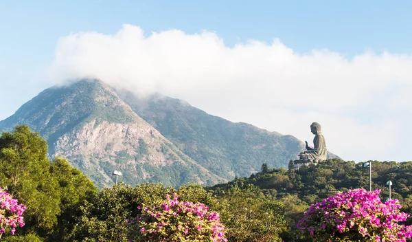 Tian Tan Buddha, Big buddha - il più alto al mondo seduto all'aperto — Foto Stock