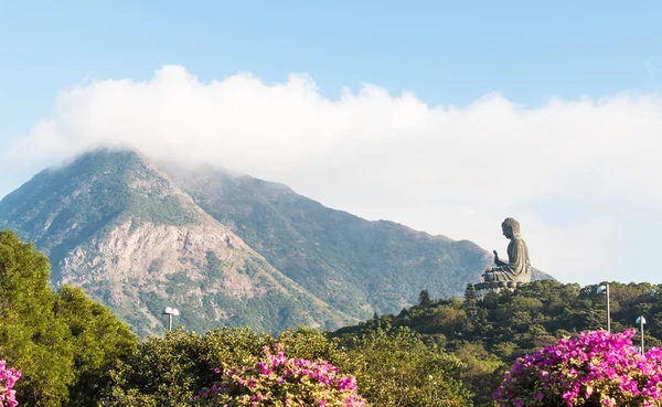 Tian Tan Buddha, Big buddha - il più alto al mondo seduto all'aperto — Foto Stock