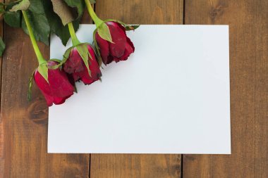 Sayın metin için boş mesaj işareti veya mesaj ahşap bir zemin üzerine kırmızı gül close-up. Tebrik kartı ile bir kırmızı gül ve uzay aşk, Sevgililer günü kavramı metin kullanmak için.