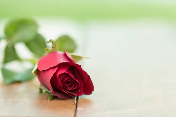 빨간 장미 꽃 나무 테이블 및 홈 정원 배경. 로맨틱 테이블 설정, 발렌타인 데가 기념, 사랑 개념, 긍정적인 생각 개념. — 스톡 사진