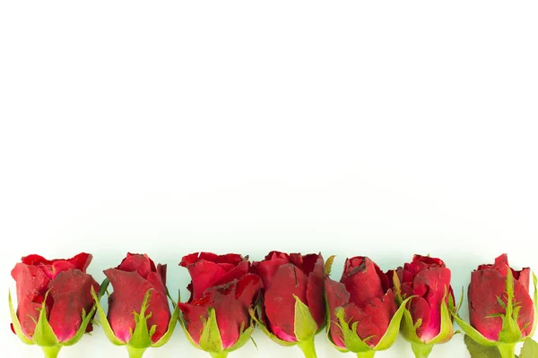 Quadro cartão de saudação de rosas vermelhas em um fundo branco. com espaço de cópia e usando como conceito de dia dos namorados, conceito de amor. dia do casamento, símbolo do dia dos namorados . — Fotografia de Stock