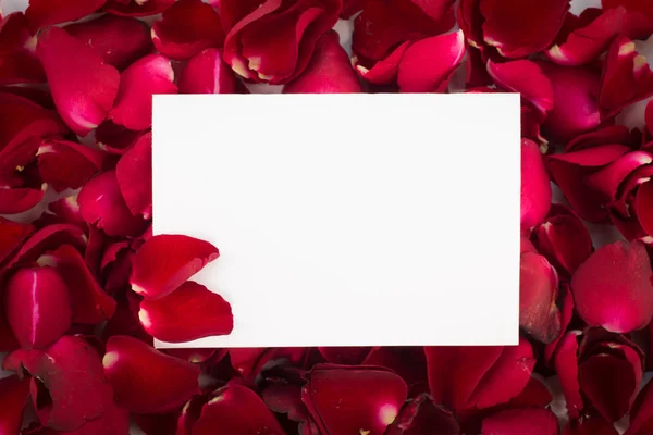 Greeting card red rose petals. with Blank Message Sign for Your Text or Message. Greeting card with a red rose petals and space for text using as love, valentine day concept , Wedding card.