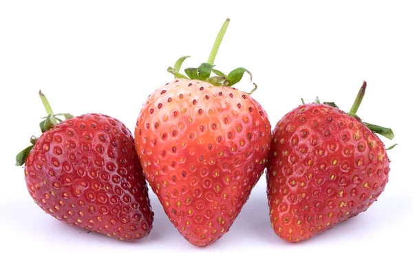 Nahaufnahme perfekt retuschierten frischen Erdbeeren Früchte auf weißem Hintergrund. eine der besten isolierten Erdbeeren, die Sie je gesehen haben. Selektiver Fokus — Stockfoto