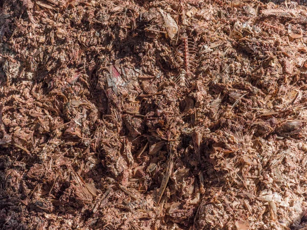 Papelera de entrada en una planta de harina de pescado —  Fotos de Stock