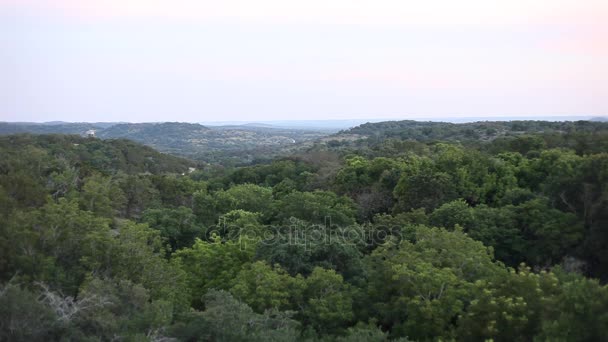 Παλαιά σήραγγα Bat Εμφάνιση — Αρχείο Βίντεο