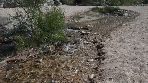 Чистая родниковая вода в парке Педерналес Фолс . — стоковое видео