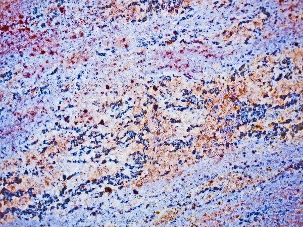 Gri ve kırmızı cilalı granit yüzey dokusu bir close-up