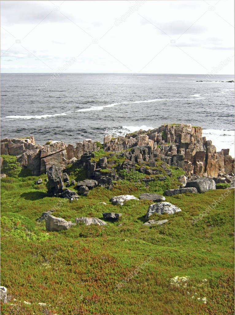 A seashore lanscape with meadows and cliffs.