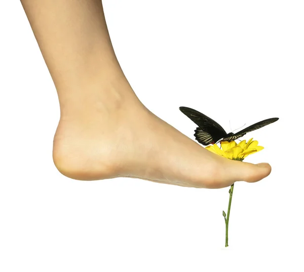 Motyl na kwiat utrzymywane z dziewczyny gołe stopy na białym tle — Zdjęcie stockowe