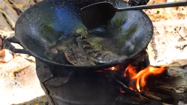 Pescado Frito Una Sartén Acero Una Estufa Leña — Vídeo de stock