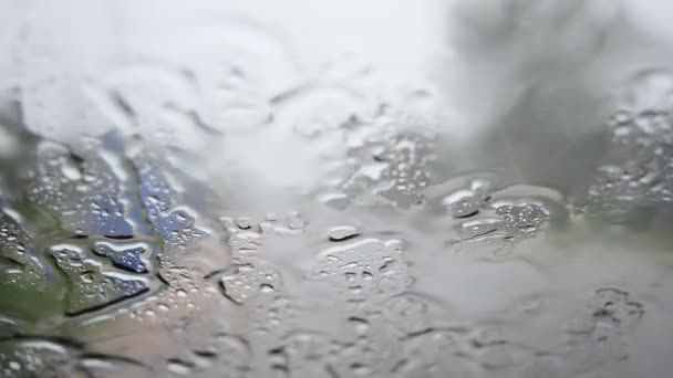 Σταγόνες Βροχής Στο Αυτοκίνητο Γυαλί — Αρχείο Βίντεο