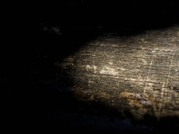 Shining on the wooden floor