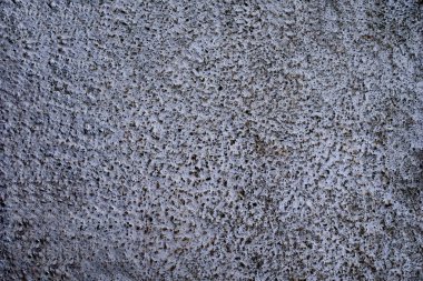 Soyut Yeşil Arkaplan Dokusu