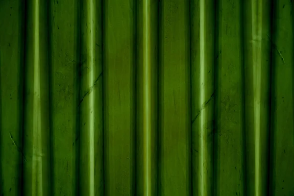 Abstract Green Background Texture — Stock Photo, Image