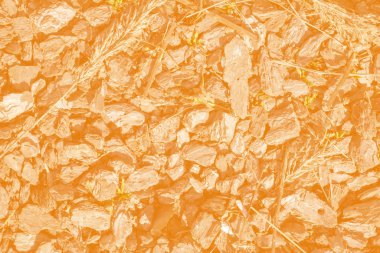 Soyut grunge bej arkaplan dokusu