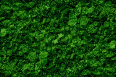  Soyut grunge yeşil arkaplan dokusu