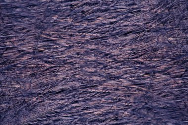 soyut grunge arkaplan dokusu