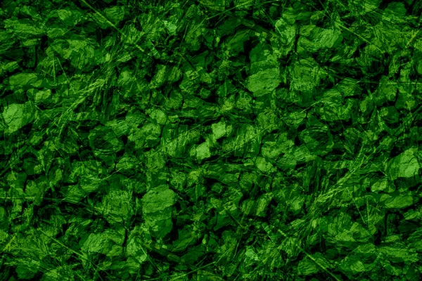 Textura Fondo Verde Grunge Abstracto — Foto de Stock