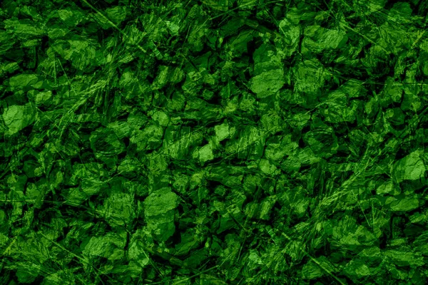 Astratto Grunge Texture Sfondo Verde — Foto Stock