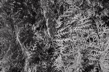 Soyut grunge gri arkaplan dokusu