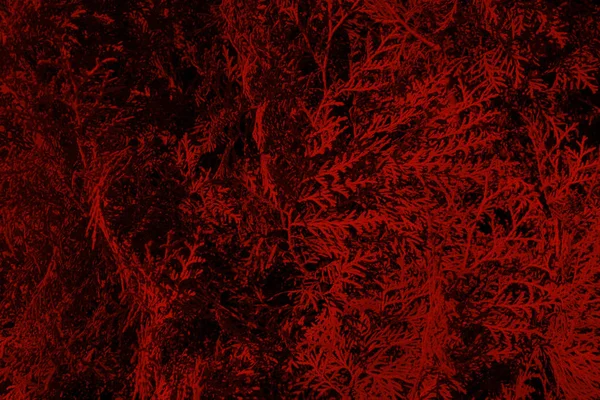 Astratto Grunge Sfondo Rosso Texture — Foto Stock