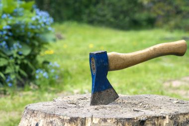 Bir balta ve yakacak odun