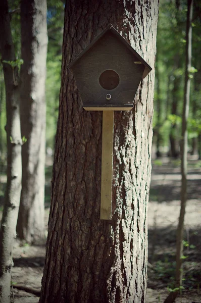 Brązowe drewniane birdhouse — Zdjęcie stockowe