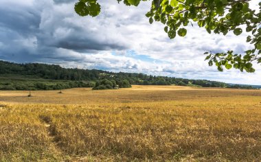 Buğday alan bulutlar altında