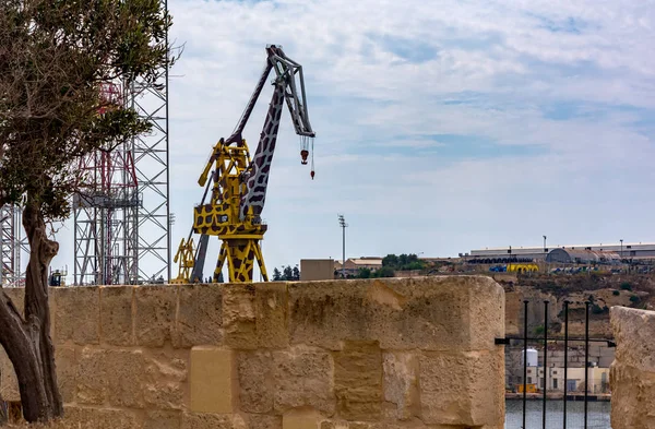 Senglea Malta Septiembre 2019 Jirafa Grulla Los Astilleros Palumbo Cospicua — Foto de Stock