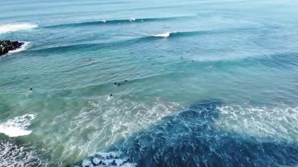 Surfers Waiting Waves Las Canteras Beach Spain — Stock Video