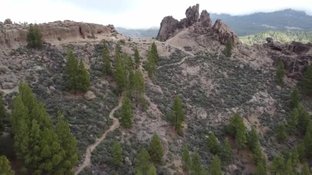 Der Nublo Pass Wald Und Felsen Tejeda Gran Canaria Spanien — Stockvideo