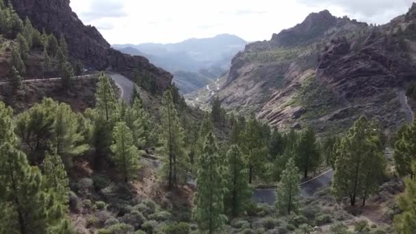 Aerial Footage Canion Gran Canaria Filmed Roque Nublo Gran Canaria — Stock Video