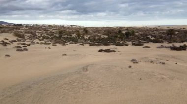 Stright 'ın Maspaloma çölünün ve kum tepelerinin tepesinde uçtuğunu gösteren Dron videosu.