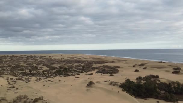 Maspalomas Sand Dunes Panorama Drone Footage — Stock Video