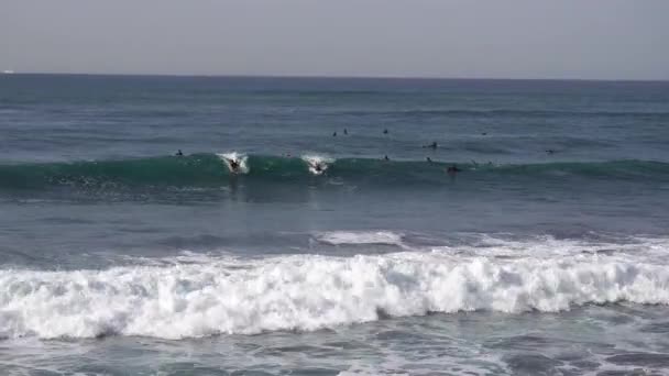 Surferzy Łowiący Sploty Publicznej Plaży Oceanicznej — Wideo stockowe