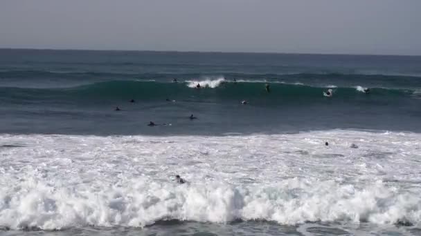 Surfers Vangen Weven Het Strand Van Openbare Oceaan — Stockvideo