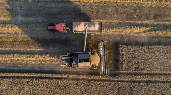 Modern birleştirmek hasat boşaltma tahıl traktör