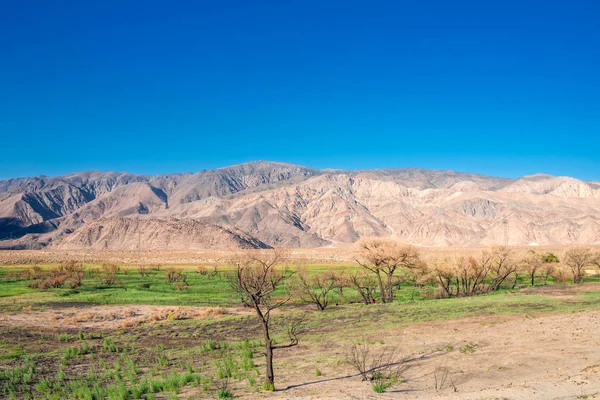 Death valley, Kalifornia — Stock Fotó