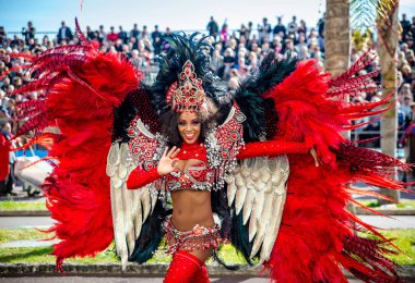 Nice, Fransa - 20 Şubat 2016: Katılımcılar carnival geçit Nice. Carnaval de Nice - yatırım getirisi de medya (Kral medya)