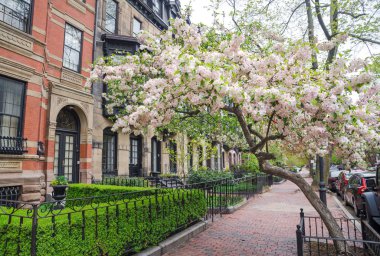 Boston Erken Bahar, Massachusetts, ABD