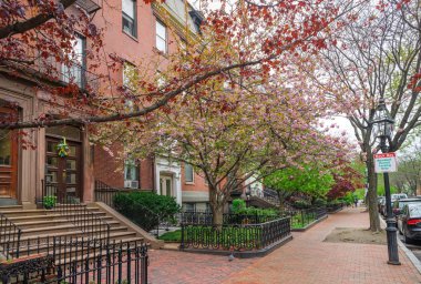 Boston Erken Bahar, Massachusetts, ABD